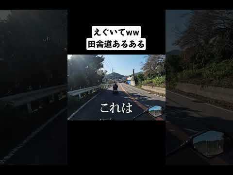 田舎道あるある？みんなは遭遇したことある？ #shorts
