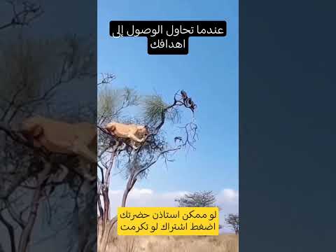 عندما تحاول الوصول إلى اهدافك #subscribe #shortvideo #shorts