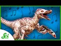 Understanding Dinosaur Behavior
