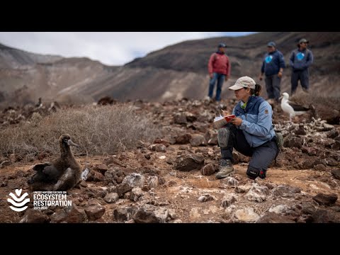 YouTube video thumbnail:  What Saved Mexico’s Island Birds From Disappearing?