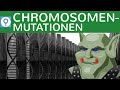chromosomenmutationen/