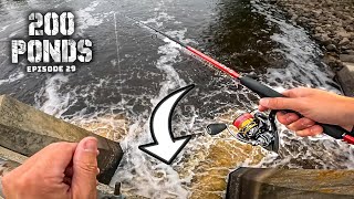 Bank Fishing HERE For Summer Bass? ("200 Ponds" Ep. 29)