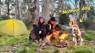 Testing a New Stove & Answering Your Questions