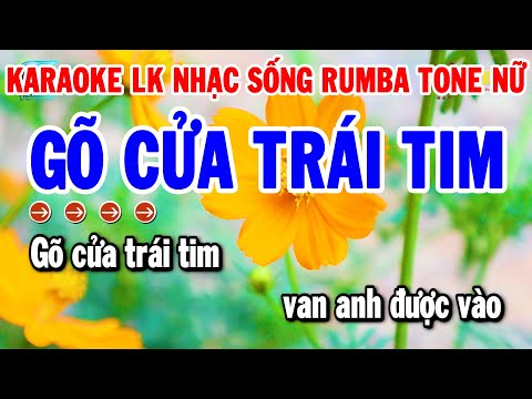 Karaoke Liên Khúc Tone Nữ Beat Chuẩn Nhất 2024 | Gõ Cửa Trái Tim – Sầu Tím Thiệp Hồng | Thanh Hải