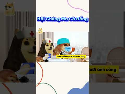 Hội chứng Ma Cà Rồng | Cheems nhạt nhẽo