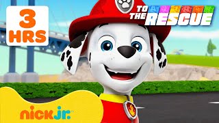 دوريات المخلاب | PAW Patrol: الآباء إلى الإنقاذ! #2 ⭐️ تعلّم العمل الجماعي | 180 دقيقة | Nick Jr.