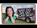 Understanding Motion Sickness