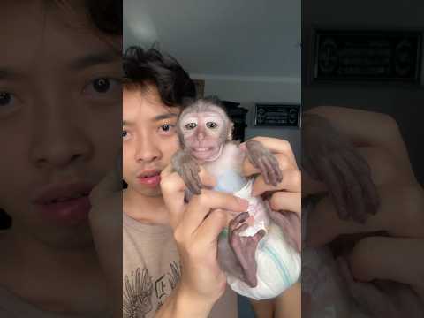 AYO AYO AYO !! #shorts