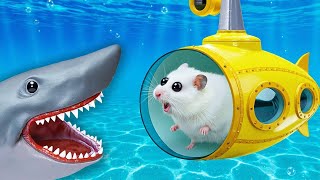 Hamster in Submarine | Hamster Maze with Traps 🐹