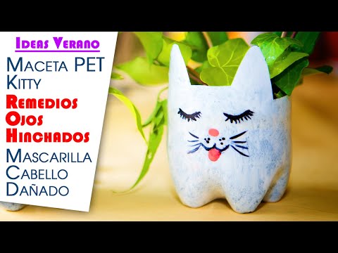 Ideas Verano, Maceta PET Kitty, Remedios Ojos Hinchados y Mascarilla Cabello Dañado
