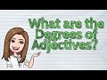 Adjective Forms and Comparisons