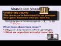 Mendelian Genetics Vocabulary and Concepts