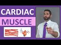 Cardiac Muscle Tissue Concepts