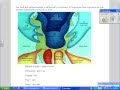 Understanding Air Masses and Fronts