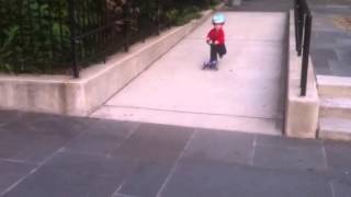 Harry's regular after dinner scoot