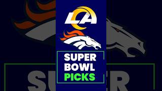 Who DO You Have MAKING IT TO THE SUPER BOWL?