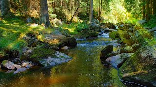 身心放鬆的舒壓音樂 -- 純音樂鋼琴 BGM | Relaxing Soft Music | Music that Soothes the Soul | Piano Music 🎹