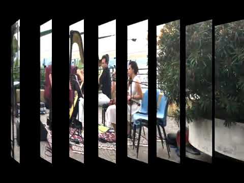 Belluco Daniele Arpista