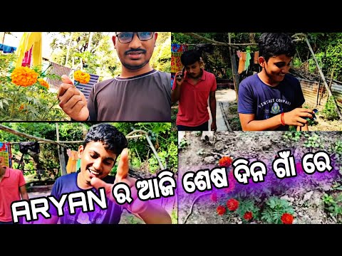 ARYAN ର ଆଜି ଶେଷ ଦିନ ଗାଁ ରେ 😍😍 @Luckyjujuvlogs9777