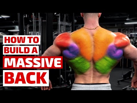 Your Perfect Back Workout - Massive Results