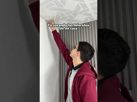 Yo limpiando mi casa ๐ฅ #humor #comedia