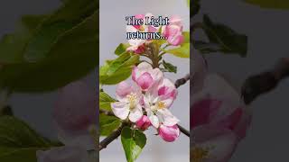 Spring Equinox is Almost Here - Watch Nature Wake Up