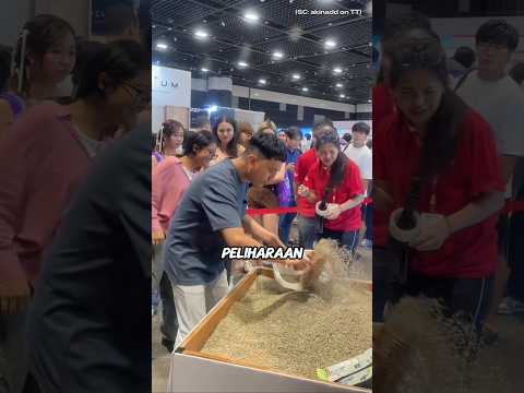 Tantangan aneh! Kumpulkan T*i Kucing Sebanyak Mungkin 😫🤯
