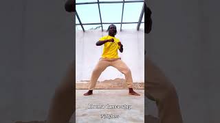 Same Azonto steps that you need to know