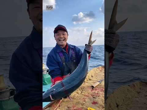 Teknik membunuh ikan tanpa menyakiti ‼️ #feedshorts