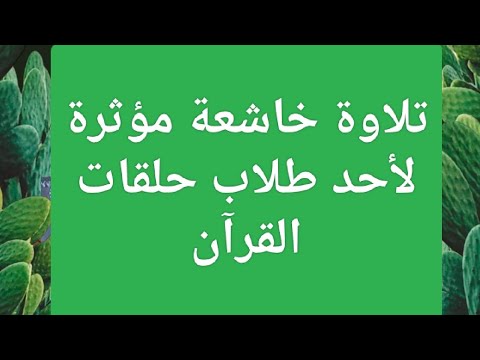 تلاوة خاشعة مؤثرة لأحد طلاب حلقات القرآن