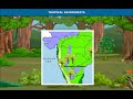 Indian Forests and Their Characteristics