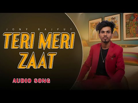 Teri Meri Zaat (Audio Song) | Rahul Puthi  | Sad Song | Jony Rajput | Latest Haryanvi Song 2025