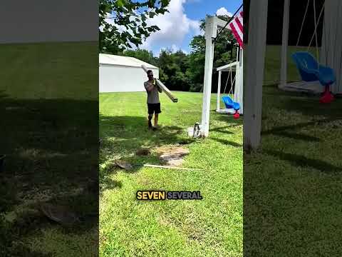 Dad Rebuilds Swing for His Kids ❤️
