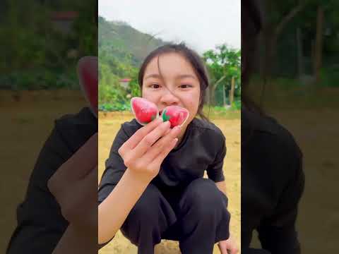 🥰 Smart Appliances! Tools Items Magic Truck New Gadgets #shorts #gadgets