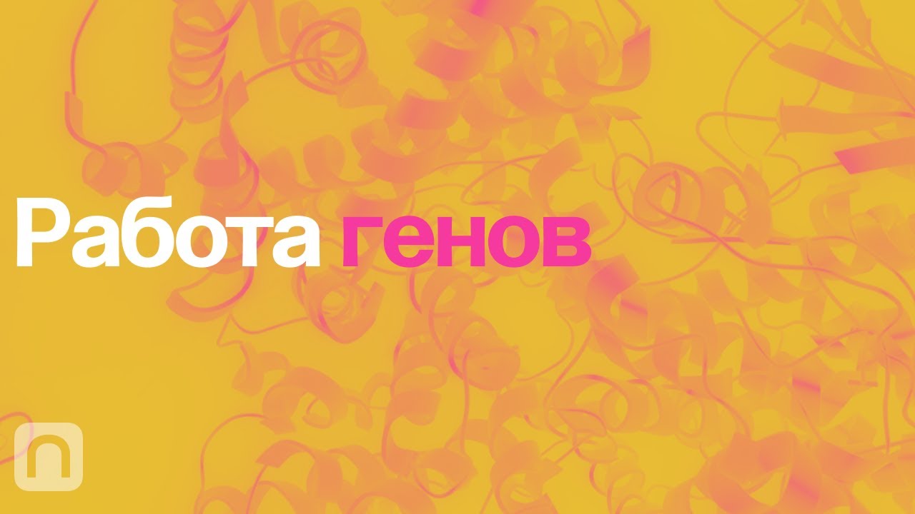 Работа генов - курс Константина Северинова