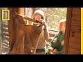 Composting and Recycling Practices