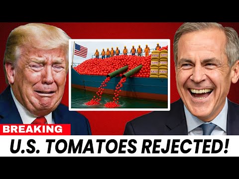 U.S. Tomato Industry CRUMBLES After Canada Ban – Mexico CASHES $12B Payday!