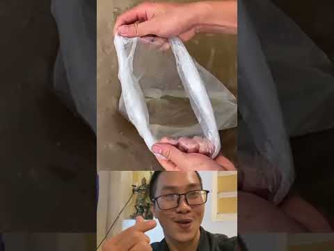 Thanh niên tìm lại đồng xu #tiktok_qt_music #douyin #funkyhouse #tiktok #dj抖音版2025 #别让爱凋落