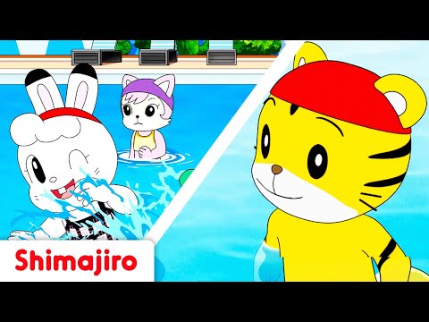 🌞🍉 Summer’s Coming! 🎶🏖️ | Sunny Adventures & Songs with Shimajiro 🐯✨