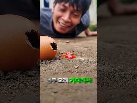 벌레를 쫓는 남자의 황당한 도전 😂❤️