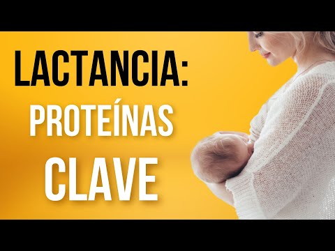 🍼IMPORTANCIA DE LA LACTANCIA MATERNA👶🏼[Nutrición en los primeros 1000 días] - Dra. Mar Begara