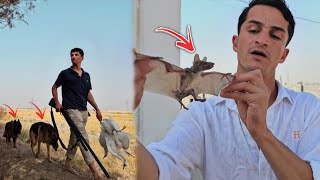 طلعت أول رحلة في بداية موسم الصيد !! هجوم الخنازير البرية #الخفاش 😦🔥