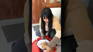 My Cat Neauter Surgery | Duggu Minivlog #shortsfeed #shortvideo #short