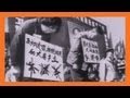 Cultural Revolution: Key Events and Impacts