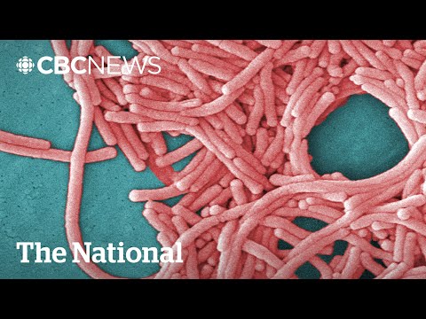 YouTube video thumbnail: Legionnaires' Outbreak Leaves Dozens Sick in London, Ont.