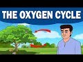 Oxygen and Its Role in Nature