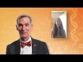 Environmental Impact of Animal Agriculture and Veganism