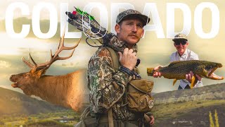 Perfect Shot on Joel’s First Bull Elk + Giant Brown Trout!