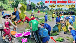 XE BAY XUỐNG NƯỚC mấy trăm người An Giang kéo xuống cắt rau cứu hàng triệu người miễn phí