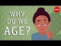 Understanding Aging